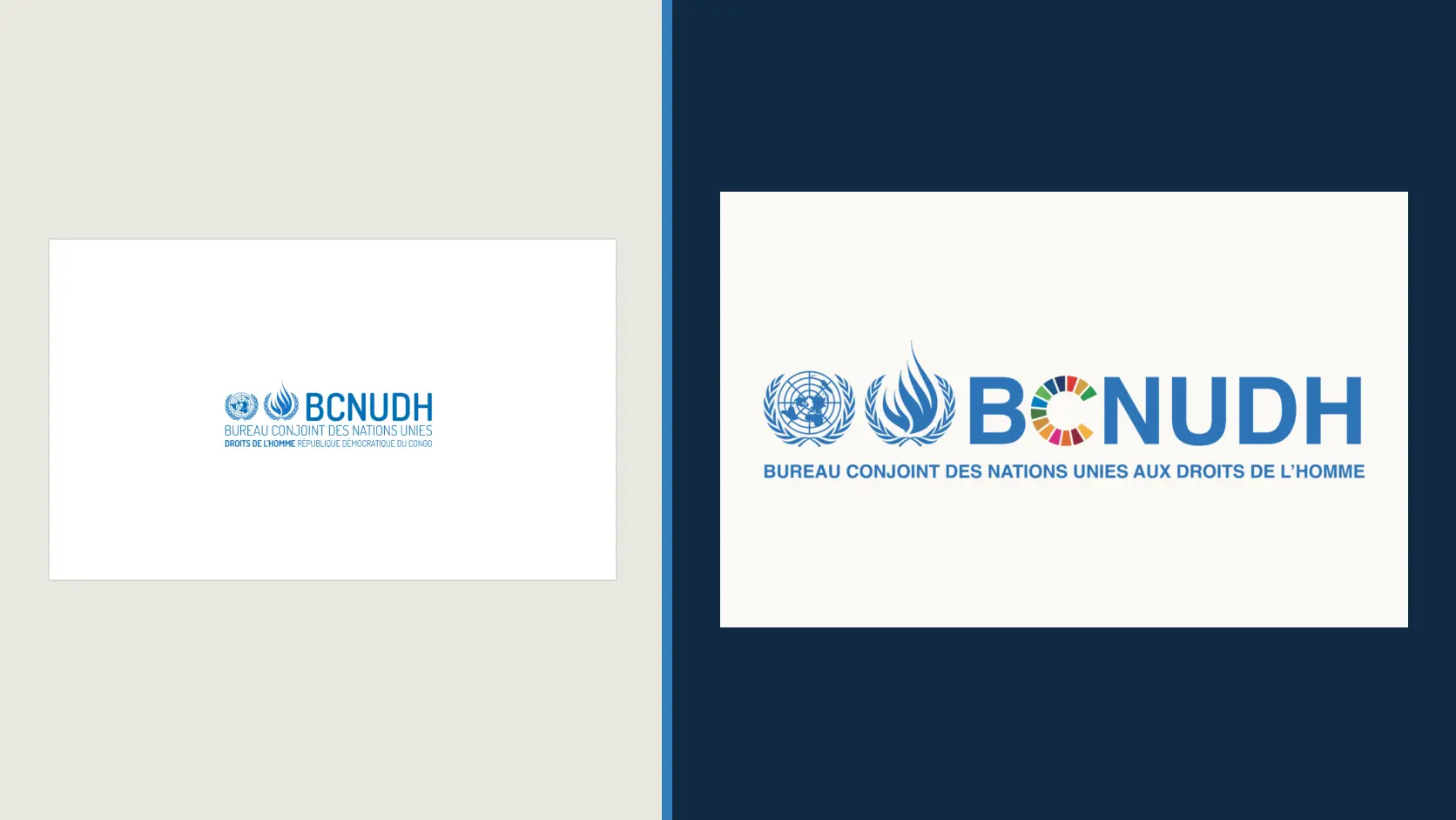 BCNUDH / UNJHRO - One Identity for a United Nations Human Rights Office - Gallery 3